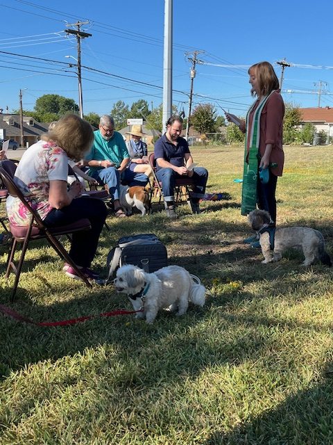 BLESSING OF THE ANIMALS